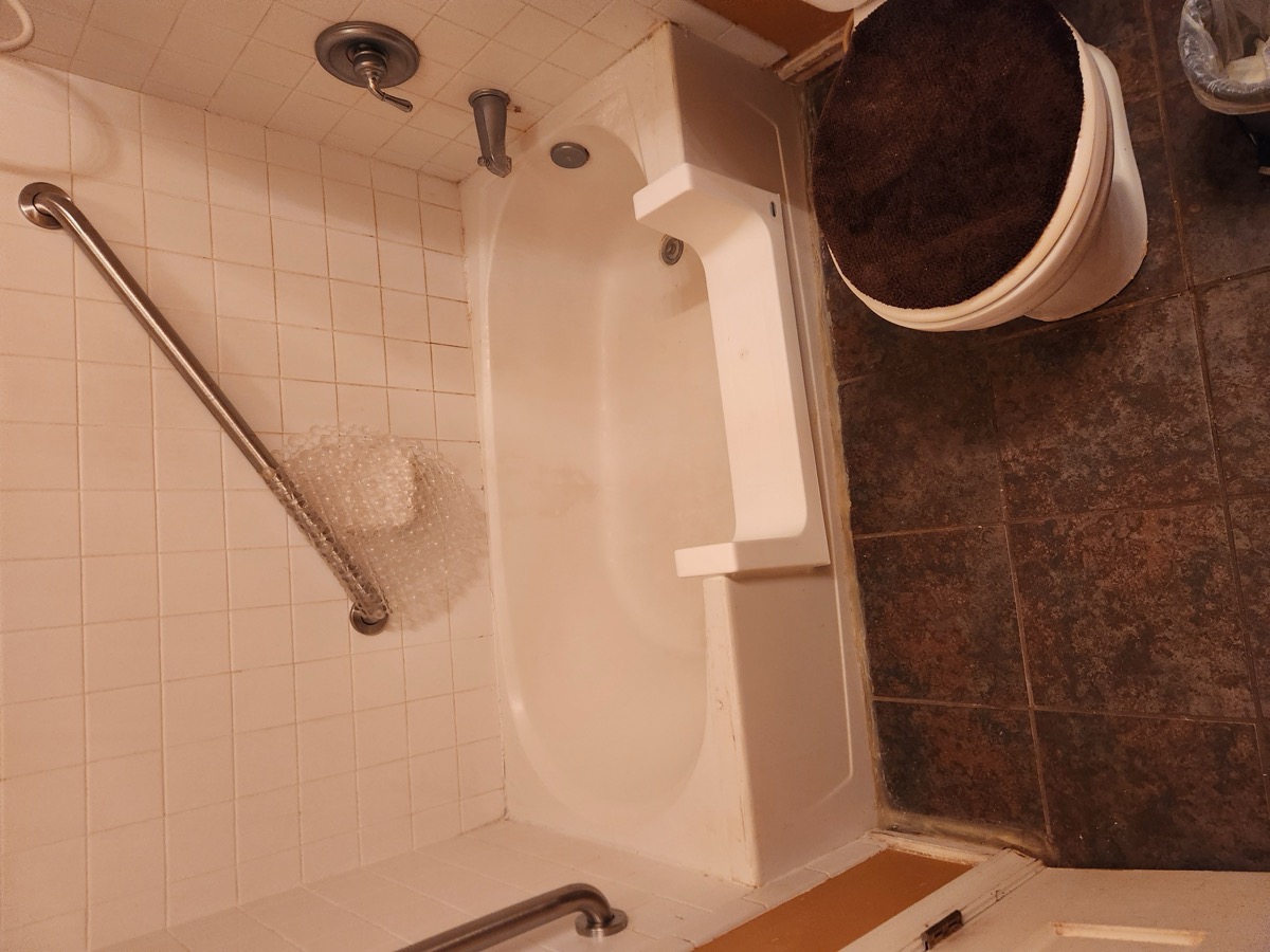 Tub-to-shower conversion with grab bars